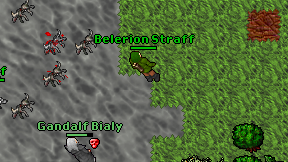 Belerion Straff on screen