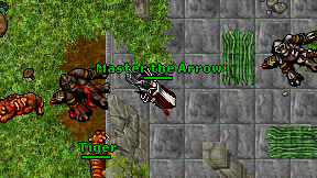 Master the Arrow on screen