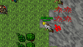 Alikam on screen