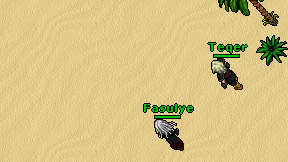 Fasulye on screen