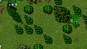 Maxi Neo on screen