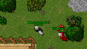 Kaacperski on screen