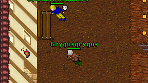 Grygusgrygus on screen
