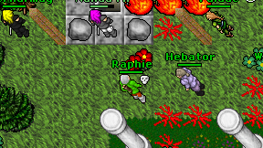 Raphie on screen