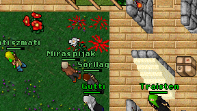 Miras pijak on screen