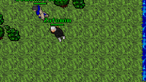 Zafomim on screen