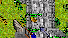 Anexombo on screen