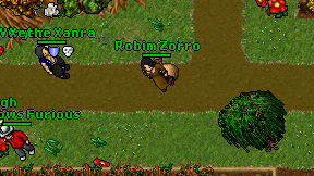 Robim Zorro on screen