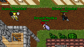 Druid'Molka on screen