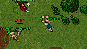 Arte'Elite on screen