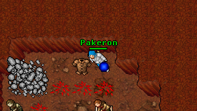Pakeron on screen