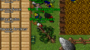 Buxa do lady on screen
