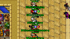 Elon-Mage on screen