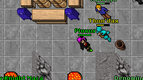 Pluxus on screen