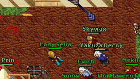 Lady Selia on screen