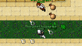Morphel Supreme on screen