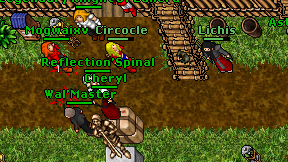 Reflection'Spinal on screen