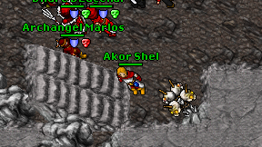 Akor Shel on screen
