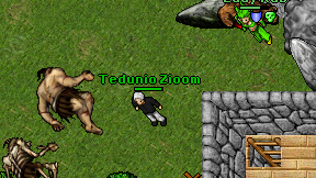 Tedunio Zioom on screen