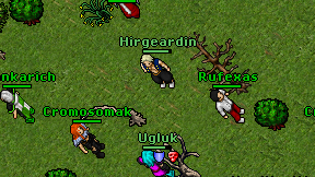 Hirgeardin on screen