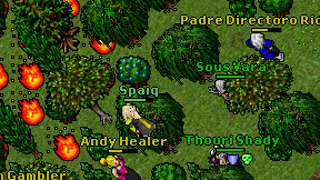 Spaiq on screen