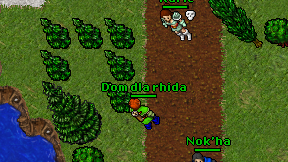 Dom dla rhida on screen