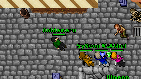 Anidamaru on screen