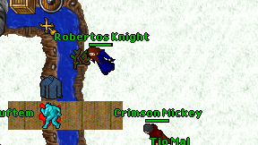 Robertos Knight on screen