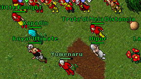 Royal'Utimate on screen