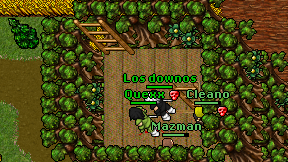 Los downos on screen