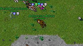 Adorena Adus on screen