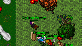 Xymox Puppy on screen