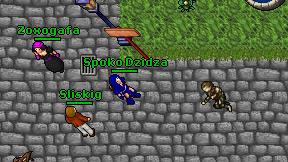 Spoko Dzidza on screen