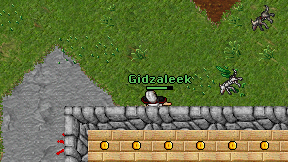Gidzaleek on screen