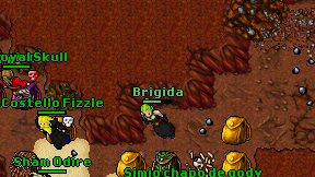 Brigida on screen