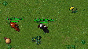 Animigeax on screen
