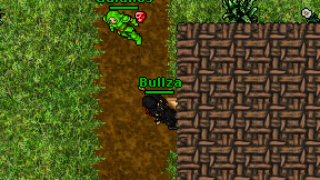 Bullza on screen