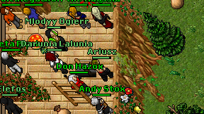 Ariusz on screen