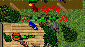 Liamtoldya on screen
