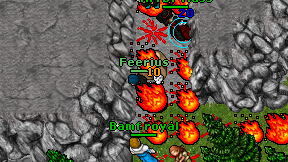 Feerius on screen