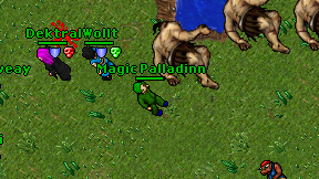 Magic Palladinn on screen