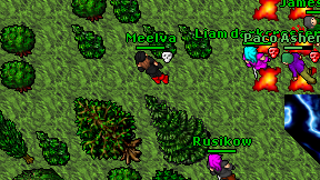 Meelva on screen