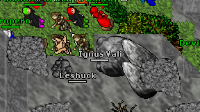 Ignus Vali on screen