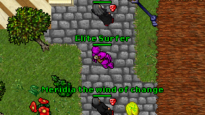 Elite Surfer on screen