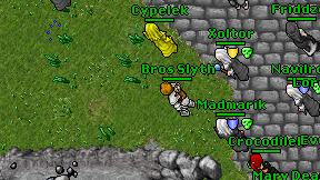 Bros Slyth on screen