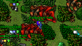 Palladyn'Nile on screen