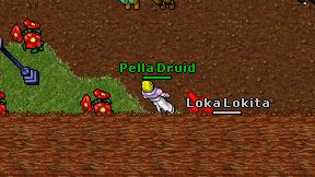 Pella Druid on screen