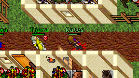 Kates on screen