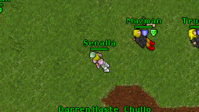 Senalla on screen