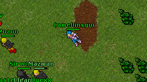 Camellinsqui on screen